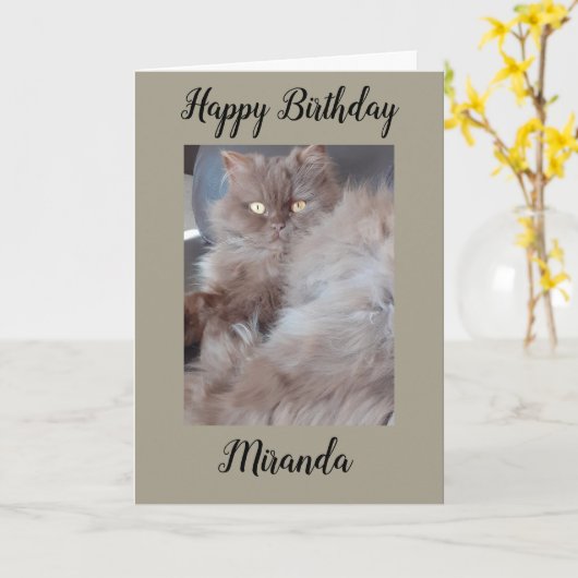 Cudly Cat Birthday Card Karte (Gelbe Blume)