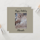 Cudly Cat Flat Birthday Card Karte (Vorderseite/Rückseite Beispiel)