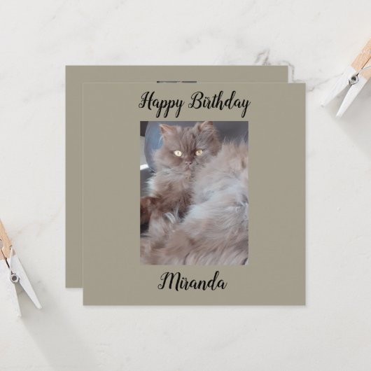 Cudly Cat Flat Birthday Card Karte (Vorderseite/Rückseite Beispiel)