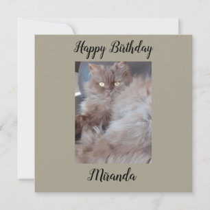 Cudly Cat Flat Birthday Card Karte