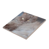 Cudly Cat Keramik Tile Fliese (Seite)