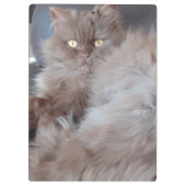 Cudly Cat Klemmbrett (Rückseite)