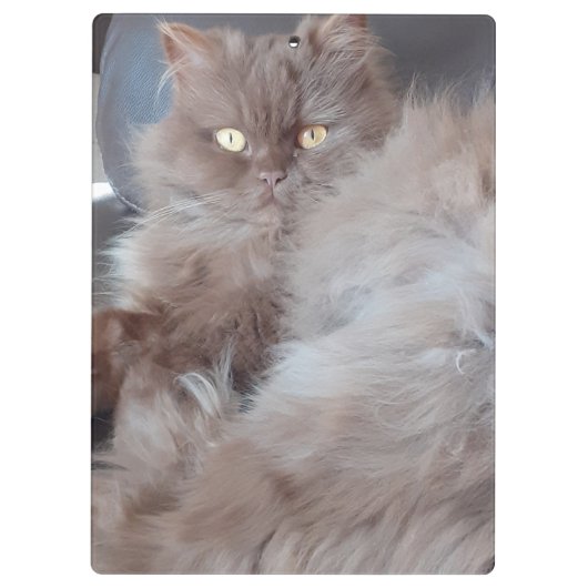 Cudly Cat Klemmbrett (Rückseite)