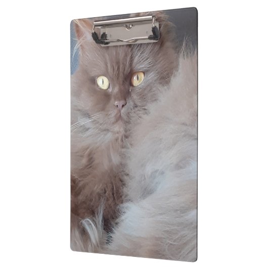 Cudly Cat Klemmbrett (Links)