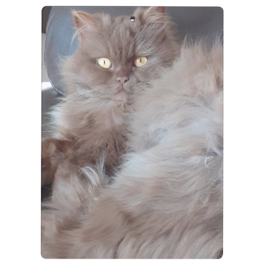 Cudly Cat Klemmbrett (Rückseite)