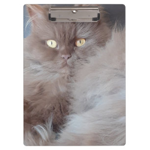 Cudly Cat Klemmbrett