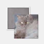 Cudly Cat Magnet (Vorderseite/Rückseite)