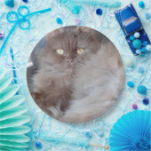 Cudly Cat Pappteller (Party)