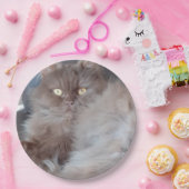 Cudly Cat Pappteller (Party)