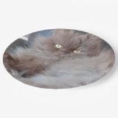 Cudly Cat Pappteller (Schrägansicht)