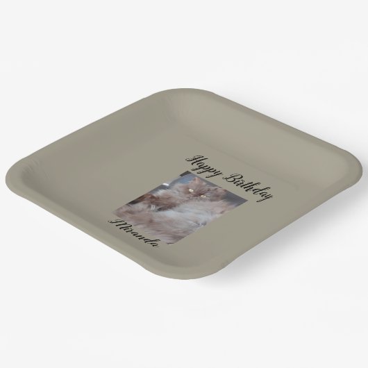 Cudly Cat Pappteller (Gewinkelt)