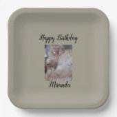 Cudly Cat Pappteller (Vorderseite)