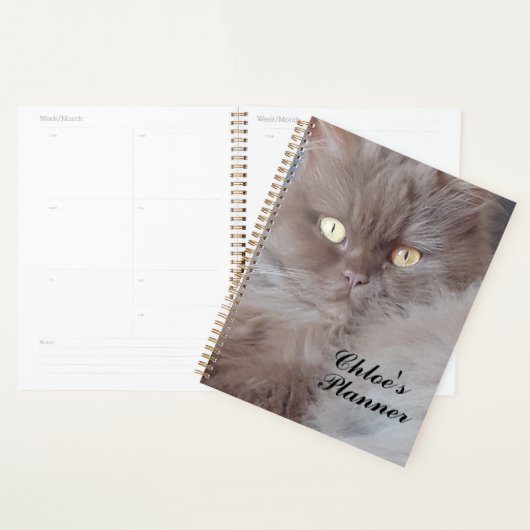 Cudly Cat Planer (Anzeige)