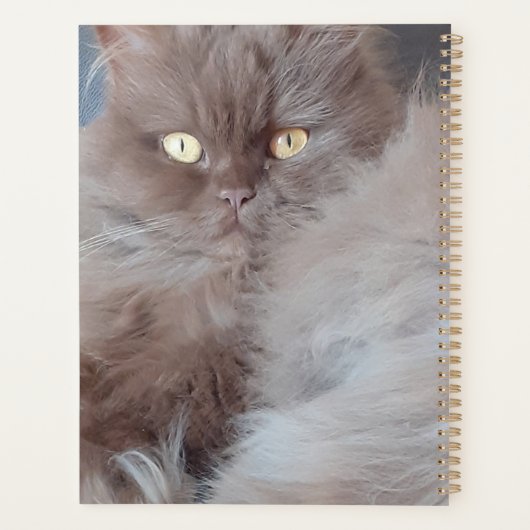 Cudly Cat Planer (Rückseite)