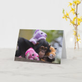 Cudly Chimp & Animal Friends Karte (Gelbe Blume)