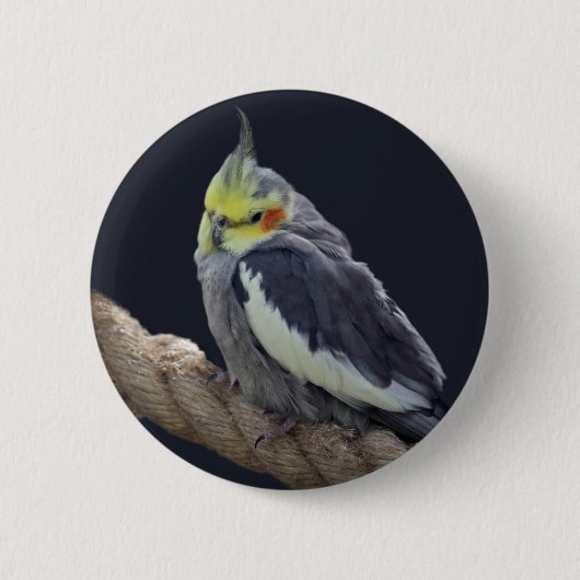 Cudly Cockatiel Abzeichen Button (Vorderseite)