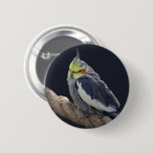 Cudly Cockatiel Abzeichen Button (Vorne & Hinten)