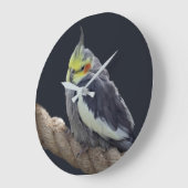 Cudly Cockatiel Wall Clock Große Wanduhr (Winkel)
