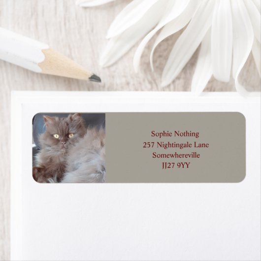 Cudly Cut Return Address Label (Insitu)