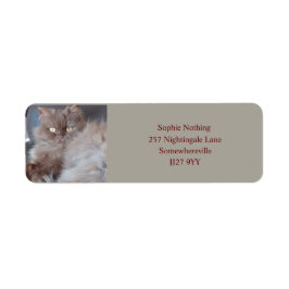Cudly Cut Return Address Label