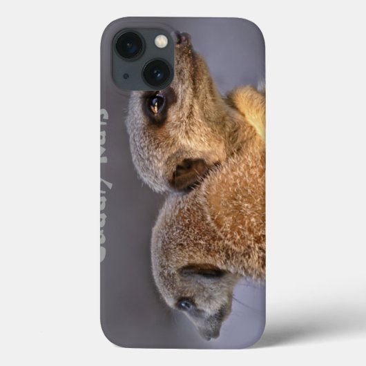 Cudly Kats iPad Case (Rückseite)