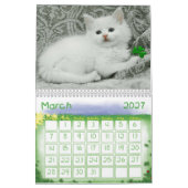 Cudly Kittens Calendar Kalender (Mär 2027)