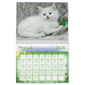 Cudly Kittens Calendar Kalender (Mär 2026)