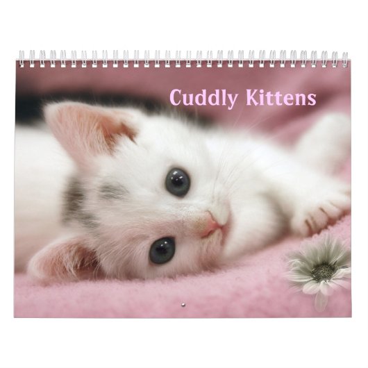Cudly Kittens Calendar Kalender (Titelbild)