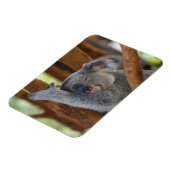 Cudly Koala Foto Magnet (Linke Seite)