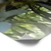 Cudly Koala Poster (Ecke)