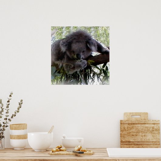 Cudly Koala Poster (Küche)