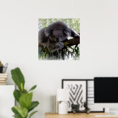 Cudly Koala Poster (Heimbüro)