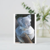 Cudly Koala Postkarte (Stehend Vorderseite)