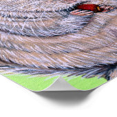 Cudly Nibbling Chinchilla Malerei Poster (Ecke)