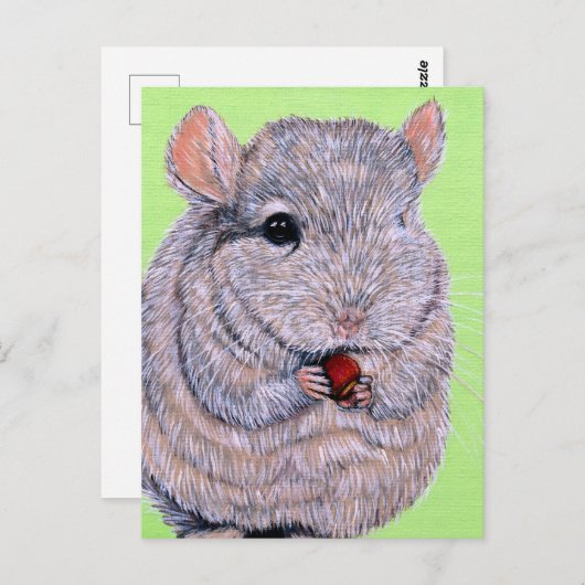 Cudly Nibbling Chinchilla Malerei Postkarte (Vorne/Hinten)