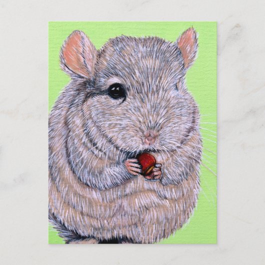 Cudly Nibbling Chinchilla Malerei Postkarte (Vorderseite)