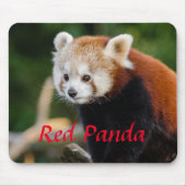 Cudly Red Panda Foto Mousepad (Vorne)