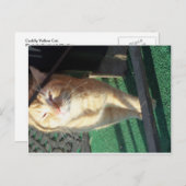Cudly Yellow Cat Postkarte (Vorne/Hinten)