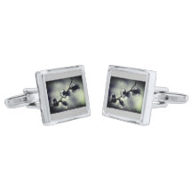 Cufflinks Willow catkins