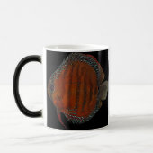 Cuipeua Verwandlungstasse (Links)