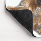 Cujo Mousepad (Ecke)