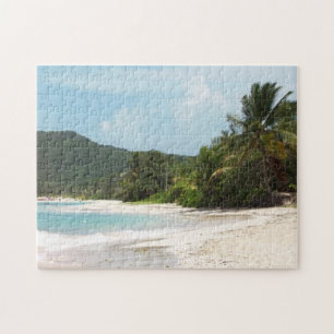 Culebras Flamenco-Strand Puerto Rico Puzzle