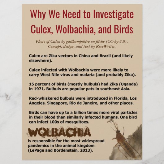 Culex, Wolbachia und Vögel von RoseWrites Flyer (Vorne)