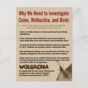 Culex, Wolbachia und Vögel von RoseWrites Postkarte