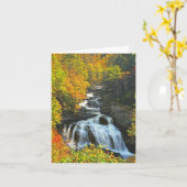 Cullasaja Karte (Gelbe Blume)