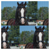 culpeper VA Entwurfspferdeshow Stoff (Nahaufnahme)