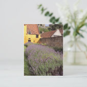 Culross Palace - Der Garten vor der Tür Postkarte (Stehend Vorderseite)