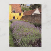 Culross Palace - Der Garten vor der Tür Postkarte (Vorderseite)