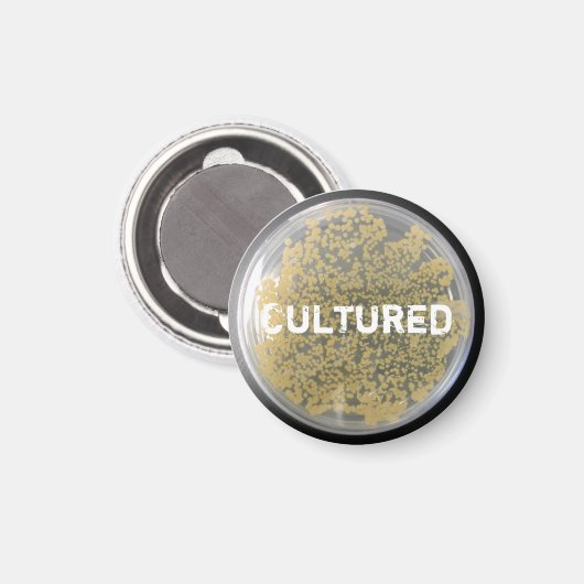 "Cultured Bacteria Culture Plate Magnet (Vorderseite/Rückseite)