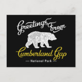 Cumberland Gap National Park Bear Postkarte (Vorderseite)